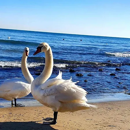 Sealovers' Nest דירה וארנה