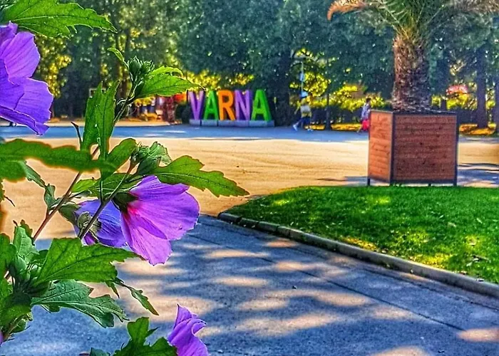 Sealovers' Nest * Βάρνα