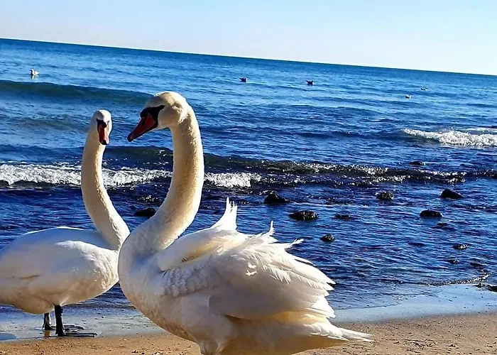Sealovers' Nest דירה וארנה